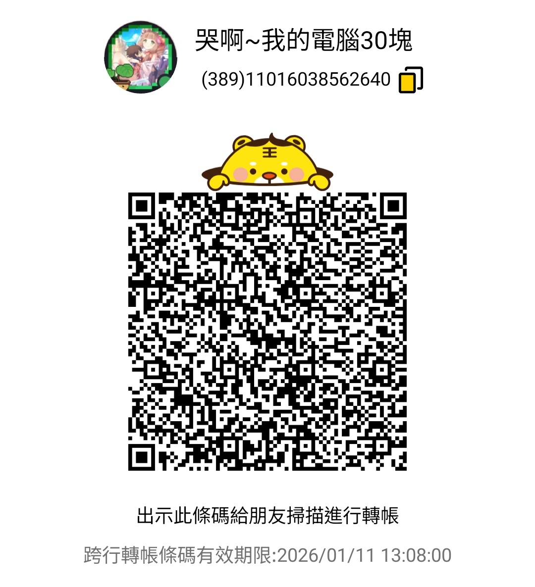 全支付 QR