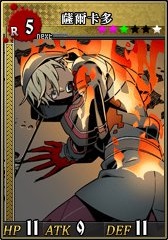 R5薩爾卡多 卡片