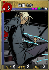 R3薩爾卡多 卡片